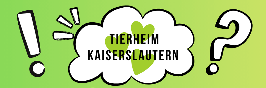 flexdienst unterstützt das Tierheim Kaiserslautern